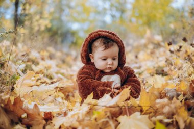 The kid sits in yellow leaves in the park for a walk. Family autumn walk in the evening in the park with children. Happy motherhood.