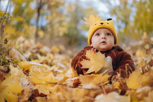 Kid Sits Yellow Leaves Park Walk Family Autumn Walk Evening — 스톡 사진