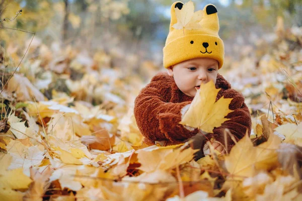 Kid Sits Yellow Leaves Park Walk Family Autumn Walk Evening — Stock Photo, Image