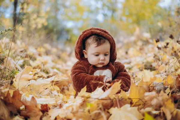 Kid Sits Yellow Leaves Park Walk Family Autumn Walk Evening — Stok fotoğraf