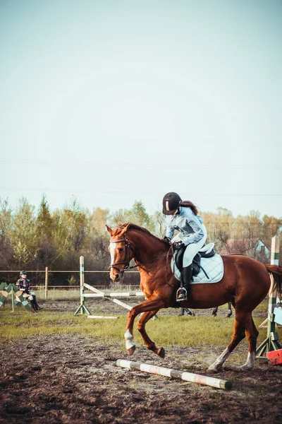Młoda Zawodniczka Bierze Udział Zawodach Skoków Kobiety Sportach Jeździeckich Przeskocz — Zdjęcie stockowe