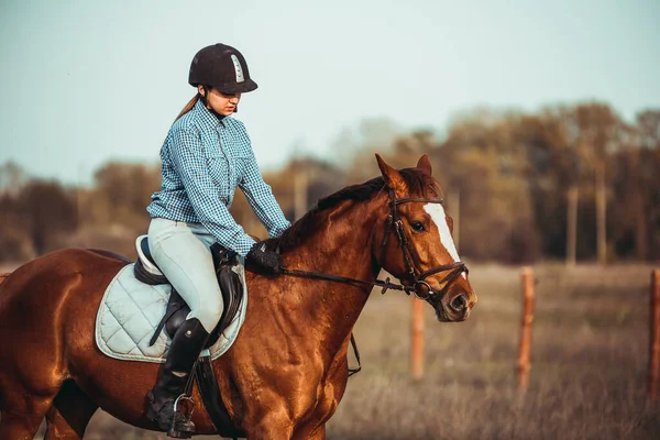Jonge Vrouw Atleet Rijdt Een Paard Sprong Training Het Voorjaar — Stockfoto