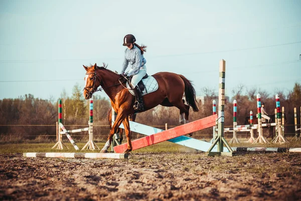 Ung Flicka Idrottsman Deltar Show Hoppning Tävling Kvinnor Inom Ridsport — Stockfoto
