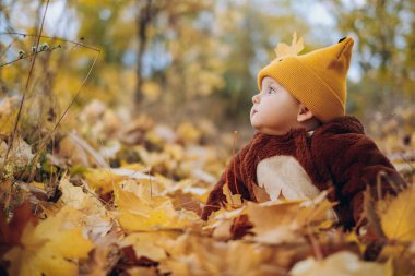 The kid sits in yellow leaves in the park for a walk. Family autumn walk in the evening in the park with children. Happy motherhood.