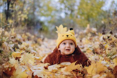 The kid sits in yellow leaves in the park for a walk. Family autumn walk in the evening in the park with children. Happy motherhood.