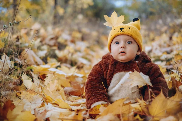 Kid Sits Yellow Leaves Park Walk Family Autumn Walk Evening — Stok fotoğraf