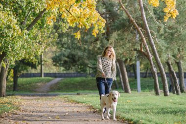 Genç sarışın sonbaharda labrador köpeğiyle parkta yürüyor..
