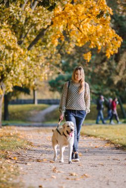 Genç sarışın sonbaharda labrador köpeğiyle parkta yürüyor..
