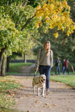 Genç sarışın sonbaharda labrador köpeğiyle parkta yürüyor..