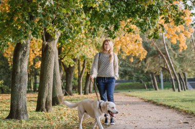 Genç sarışın sonbaharda labrador köpeğiyle parkta yürüyor..