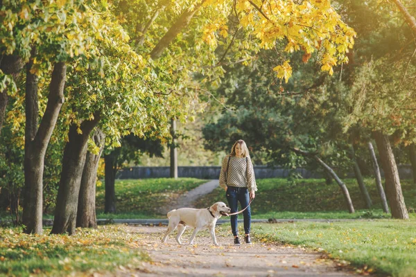Ung Blondin Går Parken Med Labrador Hund Hösten — Stockfoto