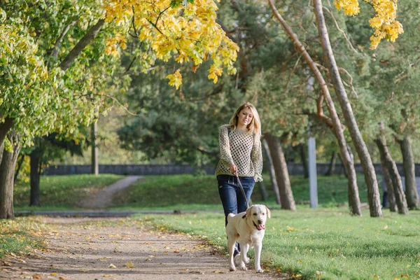 Ung Blondin Går Parken Med Labrador Hund Hösten — Stockfoto