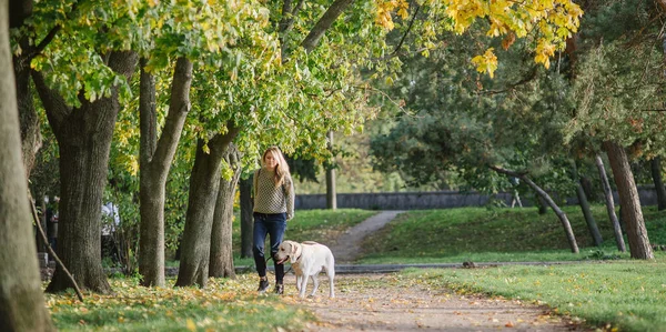 Νεαρή Ξανθιά Περπατά Στο Πάρκο Ένα Λαμπραντόρ Σκυλί Φθινόπωρο — Φωτογραφία Αρχείου