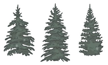 Köknar ağacı vektörü. Noel ağaçları vektör karikatürü. Vektör çizimi. eps