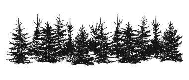 silhouettes of spruce. silhouette coniferous forest belt vector. xmas forest. christmas trees. vector illustration, hand drawing. sketch. eps