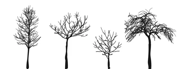 Bare Tree Vector Vector Graphics Silhouette Eps — Stockvektor