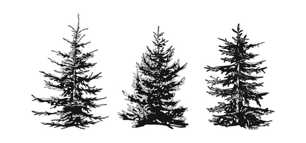 Silhouettes Spruce Vector Firtrees Vector Sketch Vector Graphics Hand Drawing — Vetor de Stock