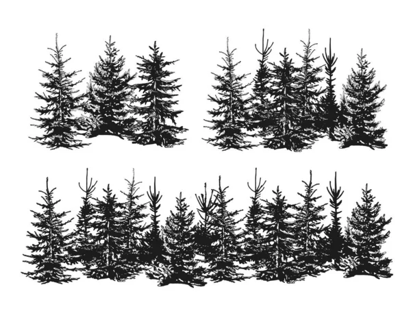 Silhouettes Spruce Firtrees Vector Sketch Vector Silhouette Coniferous Forest Belt — Stockvektor