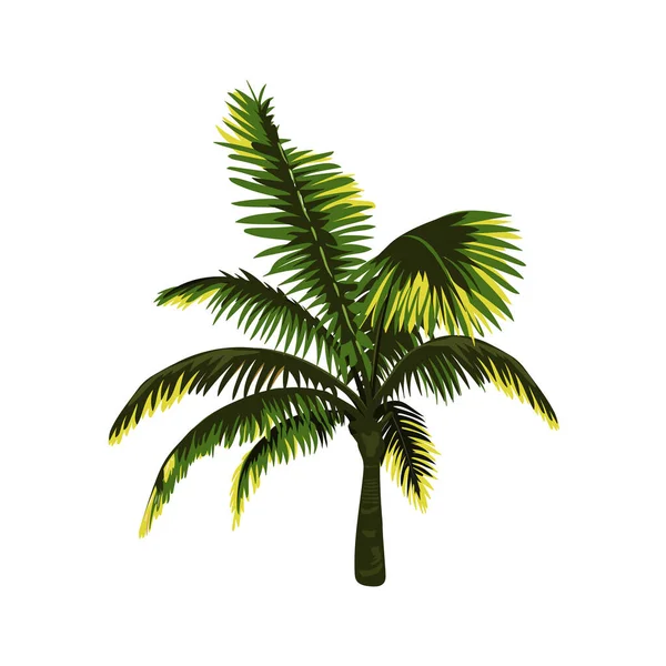 Palmboomvector Vectorillustratie Eps — Stockvector