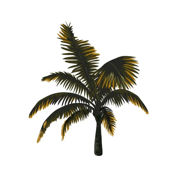 Маленький Вектор Пальмового Дерева Векторні Ілюстрації Епс — стоковий вектор