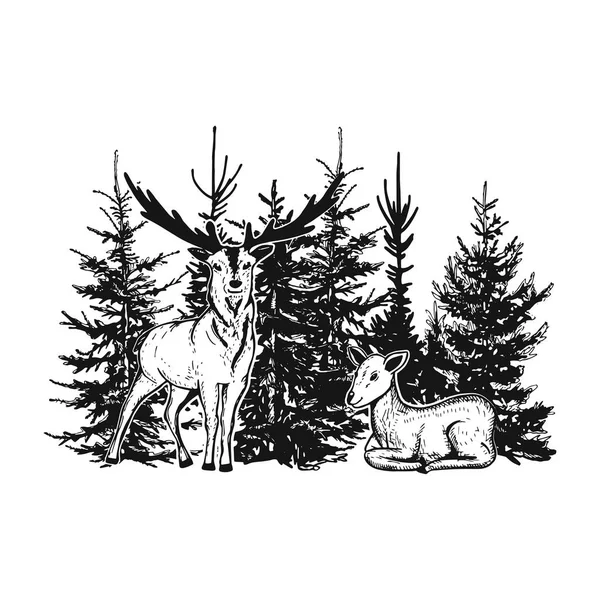 Paysage Forestier Vectoriel Avec Croquis Cerfs Gribouille Colorier Les Cerfs — Image vectorielle