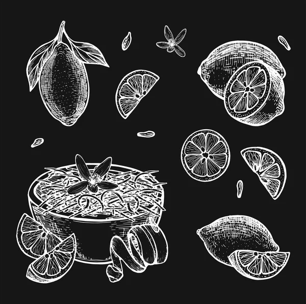 Lemon Slice Vector Sketch Lemon Set Drawing Hand Lemon Zest — Stock Vector
