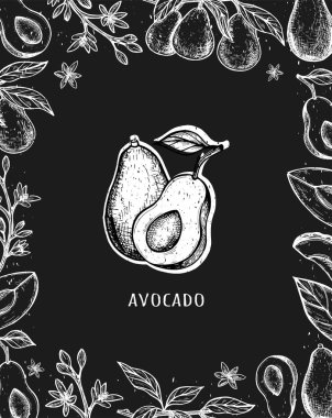 Avokado el çizimi vektörü. Avokado çerçevesi. Çizim vektör çizimi. ambalaj tasarımı. Avokado besin vektörü skeci. eps
