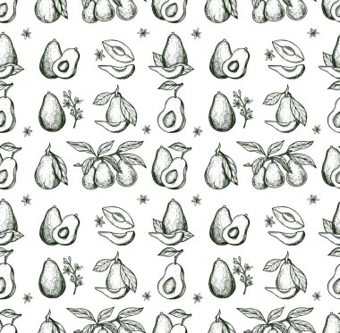 Klasik el yapımı avokado çizimi olan kusursuz bir desen. Avokado arka plan vektör çizimi. Vektör grafikleri. eps