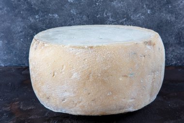 Eski çedar peyniri. Tekerlekli peynir. Koyu ahşap zeminde yıllanmış çedar peyniri çarkı.