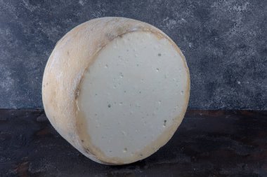 Eski çedar peyniri. Tekerlekli peynir. Koyu ahşap zeminde yıllanmış çedar peyniri çarkı.