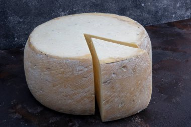 Eski çedar peyniri. Tekerlekli peynir. Koyu ahşap zeminde yıllanmış çedar peyniri çarkı.