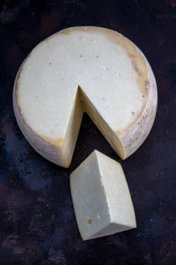 Eski çedar peyniri. Tekerlekli peynir. Koyu ahşap zeminde yıllanmış çedar peyniri çarkı.