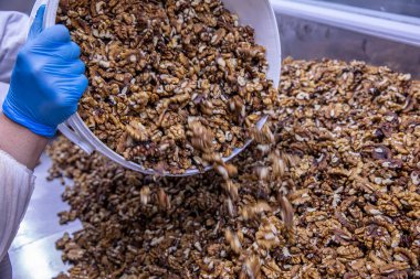 Cevizler cevizli baklava yapmak için ayrılır. Kabuksuz ceviz (resmi dolduruyor). Taze ceviz arkaplanı. Ceviz arkaplan. Ceviz dokusu. Sağlıklı yemek..