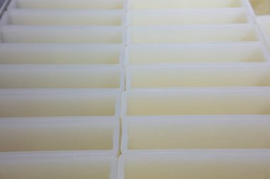 Modern fabrikada küften taze peynir alan işçi, yakın plan. Modern fabrikada peynirli küfler, yakın plan..