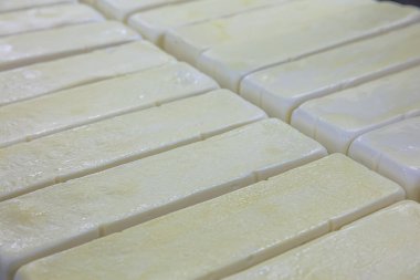 Modern fabrikada küften taze peynir alan işçi, yakın plan. Modern fabrikada peynirli küfler, yakın plan..