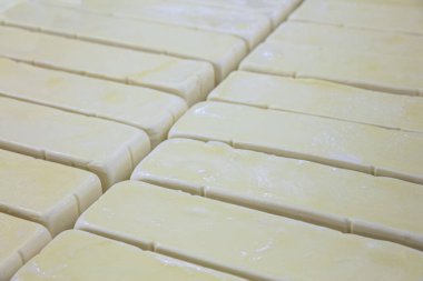 Modern fabrikada küften taze peynir alan işçi, yakın plan. Modern fabrikada peynirli küfler, yakın plan..