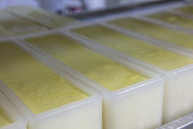 Modern fabrikada küften taze peynir alan işçi, yakın plan. Modern fabrikada peynirli küfler, yakın plan..