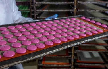 Makaron üretimi. Pembe hamurun hazırlanması. Paslanmaz bir kasede pembe tereyağlı makarna. Modern gümüş mutfak tezgahı karıştırıcısı badem kurabiyesi için hamur karıştırıyor..