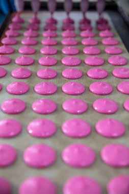 Makaron üretimi. Pembe hamurun hazırlanması. Paslanmaz bir kasede pembe tereyağlı makarna. Modern gümüş mutfak tezgahı karıştırıcısı badem kurabiyesi için hamur karıştırıyor..