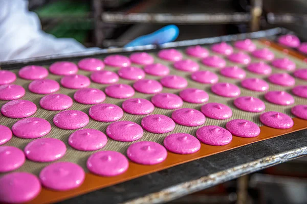 Makaron üretimi. Pembe hamurun hazırlanması. Paslanmaz bir kasede pembe tereyağlı makarna. Modern gümüş mutfak tezgahı karıştırıcısı badem kurabiyesi için hamur karıştırıyor..