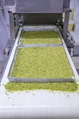 Baklava yapımı. Baklava tatlı hazırlama aşamaları. Şef geleneksel Baklava tatlısı yapıyor..