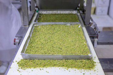 Baklava yapımı. Baklava tatlı hazırlama aşamaları. Şef geleneksel Baklava tatlısı yapıyor..