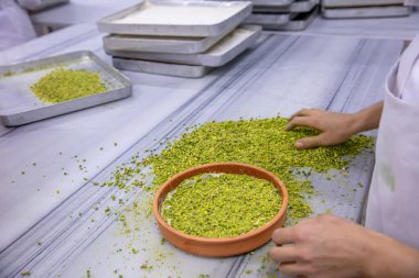 Baklava yapımı. Baklava tatlı hazırlama aşamaları. Şef geleneksel Baklava tatlısı yapıyor. Baklava yapımı sürecinden görüntüler, baklava 'nın en popüler tatlısı..