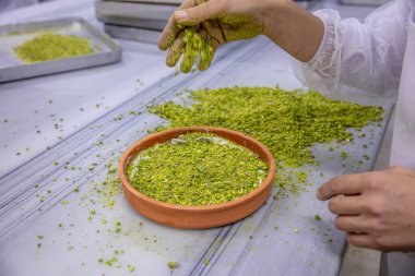 Baklava yapımı. Baklava tatlı hazırlama aşamaları. Şef geleneksel Baklava tatlısı yapıyor. Baklava yapımı sürecinden görüntüler, baklava 'nın en popüler tatlısı..