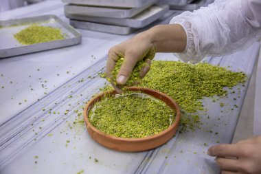 Baklava yapımı. Baklava tatlı hazırlama aşamaları. Şef geleneksel Baklava tatlısı yapıyor. Baklava yapımı sürecinden görüntüler, baklava 'nın en popüler tatlısı..