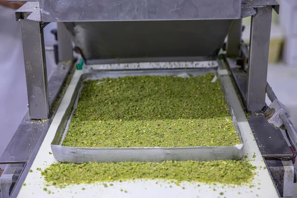 Baklava yapımı. Baklava tatlı hazırlama aşamaları. Şef geleneksel Baklava tatlısı yapıyor..