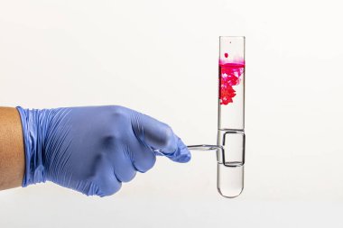 Kırmızı reaksiyonlu test tüpü ve yakın plan pipet. Elinde test tüpünde renkli sıvı var. Kan ya da diğer kırmızı sıvılar cam pipetten test tüpüne, beyaz üzerinde izole. .