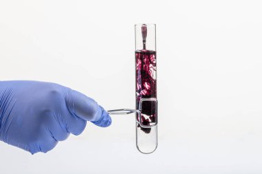 Siyah reaksiyonlu test tüpü ve yakın plan pipet. Elinde test tüpünde renkli sıvı var. Cam pipetten test tüpüne siyah sıvı damlası, beyaz üzerinde izole edilmiş. .