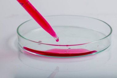 Kırmızı biyolojik analiz çözeltisiyle petri kabının üzerine kırmızı sıvı damlatılan laboratuvar pipeti bir bilim araştırma laboratuvarında biyoteknoloji deneyi için enfekte olmuş bakteriler tarafından kirletilmiş..