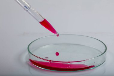Kırmızı biyolojik analiz çözeltisiyle petri kabının üzerine kırmızı sıvı damlatılan laboratuvar pipeti bir bilim araştırma laboratuvarında biyoteknoloji deneyi için enfekte olmuş bakteriler tarafından kirletilmiş..